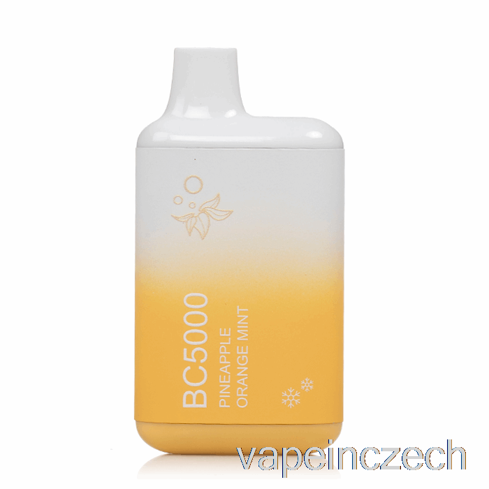 Bc5000 Jednorázové Ananasové Oranžové Mátové Vape Pero